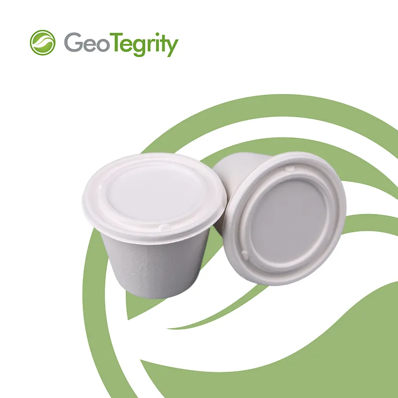 bagasse disposable food container