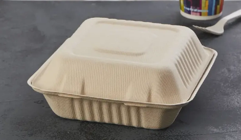 The Future of Takeout: Driving The Global Shift To Sugarcane Packaging