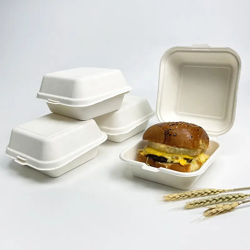 Biodegradable clamshell bagasse hamburger sugarcane 5