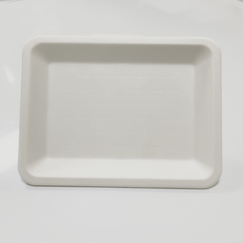 Biodegradable Restaurant Compostable Meat Bagasse Frozen Food 8" x 6" x 0.6" Tray