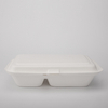 Custom Biodegradable Disposable Paper Food Takeaway 9 X 6" 2-C Box