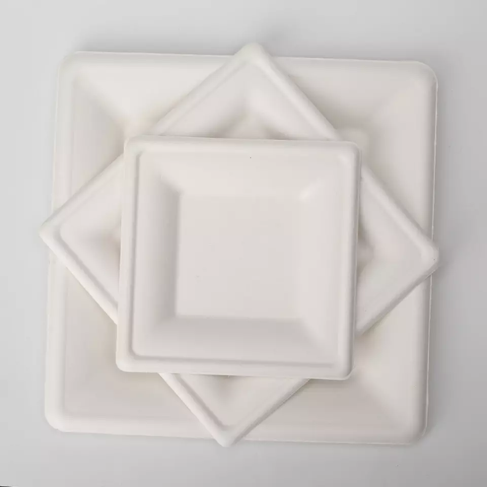 White Environmentally Friendly 8 Inch Disposable Bagasse Paper Plate Square Bagasse Plate for Party