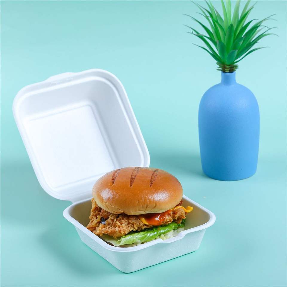 Eco-Friendly Pulp Mould Takeaway Packaging Disposable Sugarcane Bagasse Burger Box Biodegradable