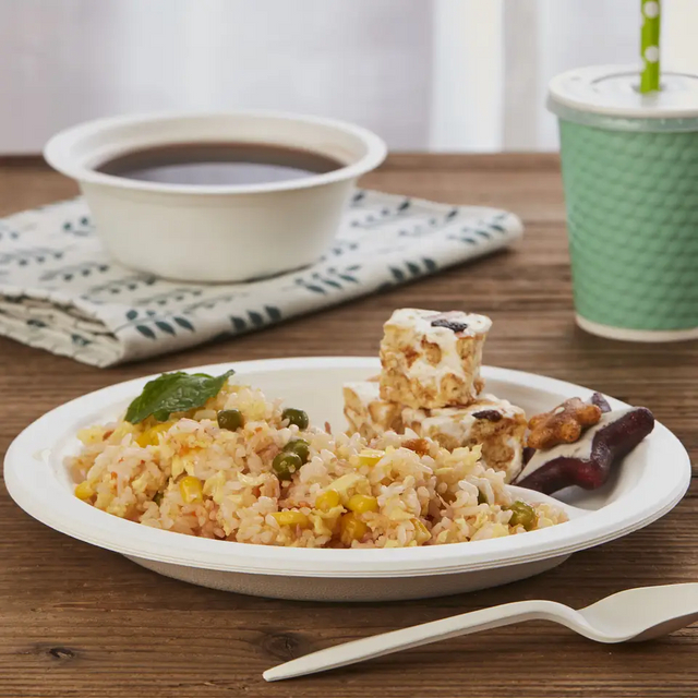 bagasse tableware bagasse tableware