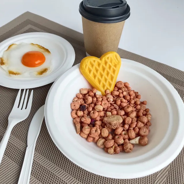 Bagasse Bowl: The Sustainable Choice for Eco-Conscious Dining