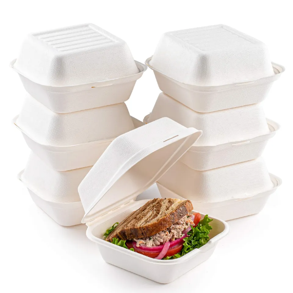 Biodegradable clamshell bagasse hamburger sugarcane 5