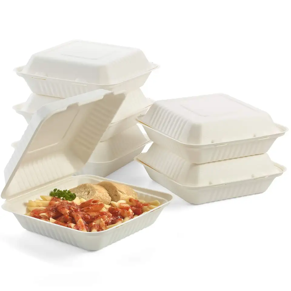 Biodegradable Take Out Disposable Clamshell Bagasse Food 9