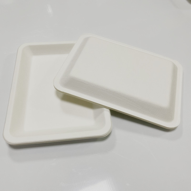 Biodegradable Restaurant Compostable Meat Bagasse Frozen Food 8" x 6" x 0.6" Tray