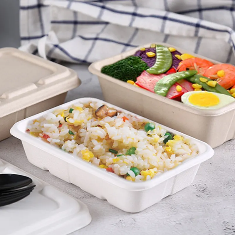 Disposable Biodegradable Bagasse Takeaway Lunch Food 32oz Tray