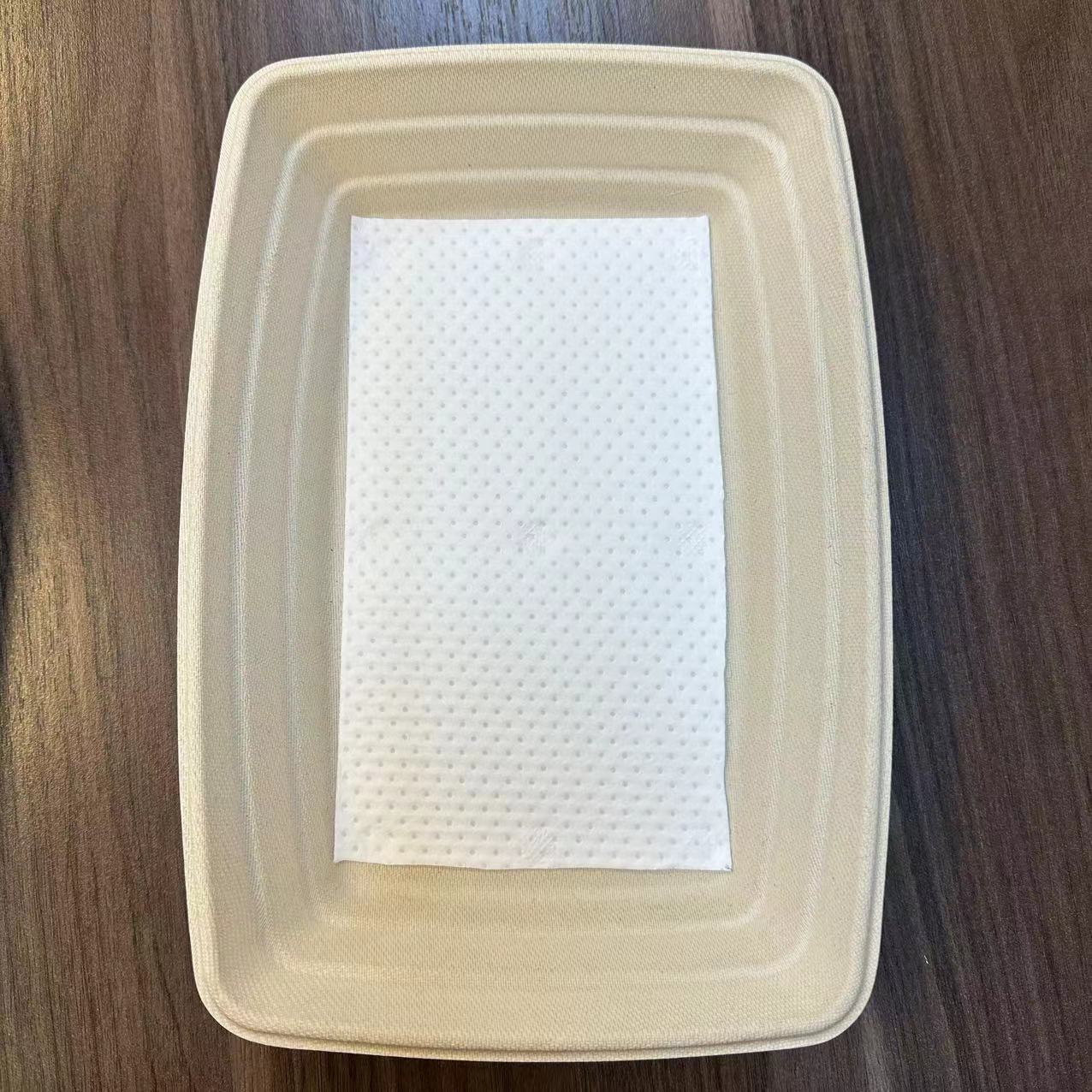 Biodegradable Disposable Takeaway Food Packaging Products Bagasse Tray