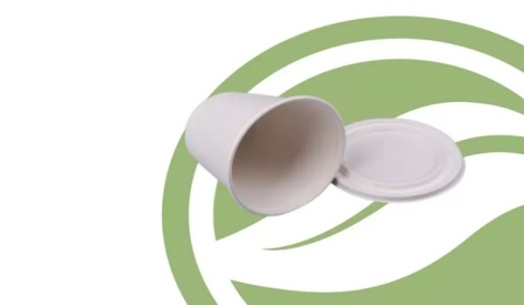 What Are The Benefits of Using Sugarcane Plates?