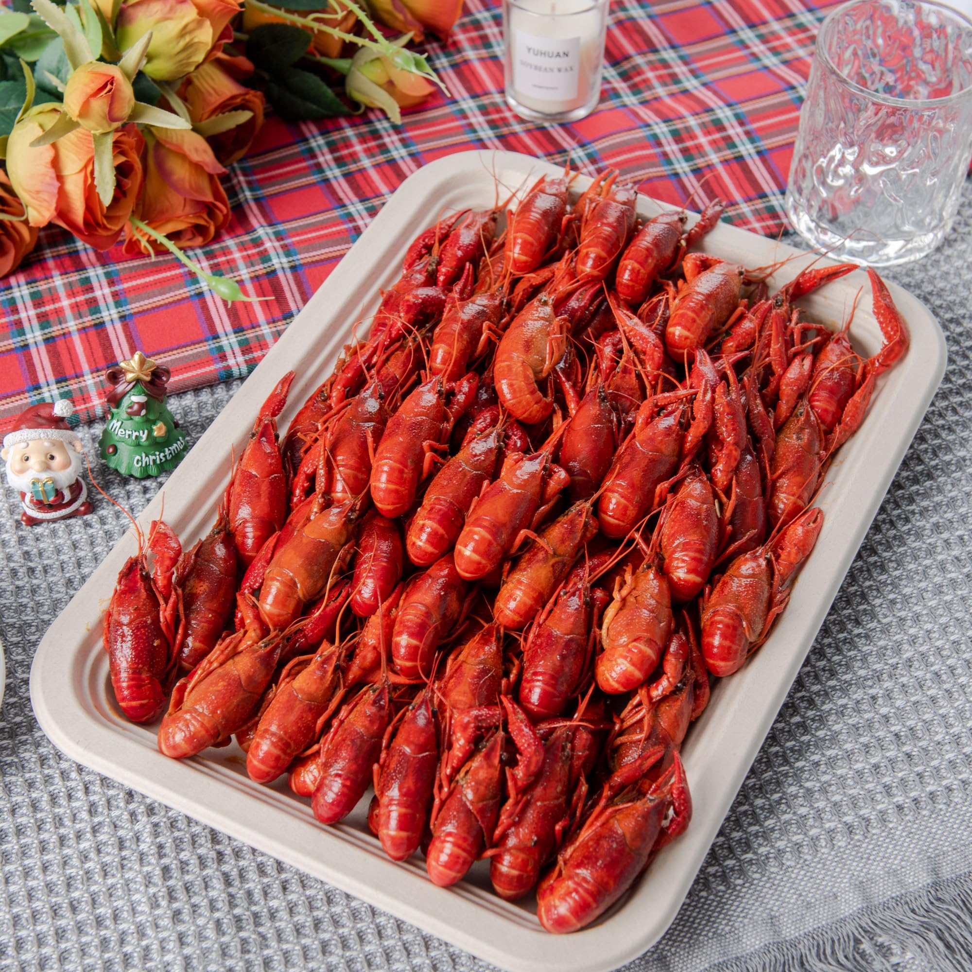 Disposable Paper Plates, 50 Pack Bagasse Food Trays, 14 Inch Compostable & Biodegradable Event Plates, Unbleached, BPA-Free, Microwave-Safe, Soak-Proof, Cut Resistant