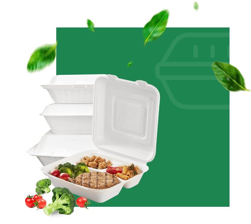 Bagasse Box