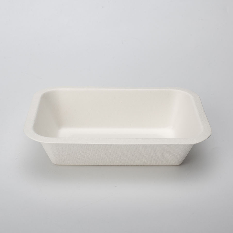 PFAS Free Eco-friendly Biodegradable Sugarcane Bagasse Pulp Mould Food Disposable Tray With Lids