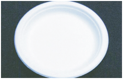 0day Bagasse Plate