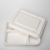 Biodegradable bagasse restaurant food takeaway 5 Compts Tray