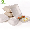 Disposable Clamshell Biodegradable Bagasse Food 9" x 9" 3-C Hinged Container