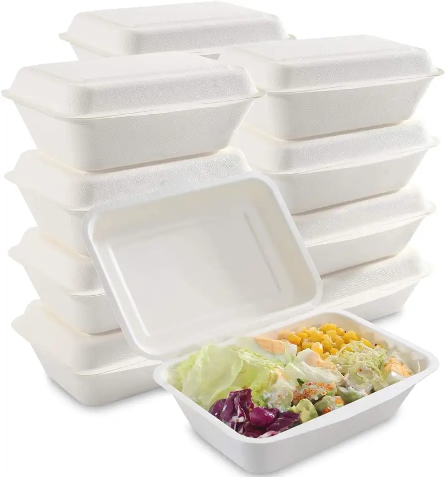 Disposable Bagasse Containers Biodegradable Clamshell 7" x 5" Lunch Box