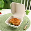 Hot Sale Sugarcane Clamshell Bagasse Food Container Biodegradable Disposable Tableware Sugarcane Disposable Lunch Box