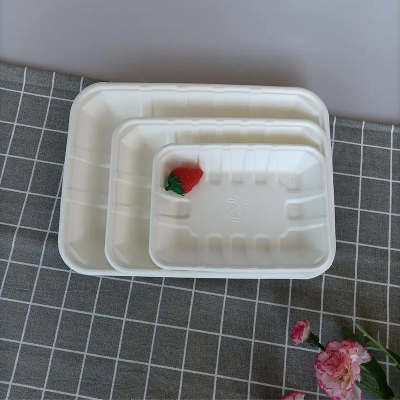 PFAS Free Disposable Biodegradable Rectangular Food Meat Sugarcane Bagasse Pulp Mould Tray