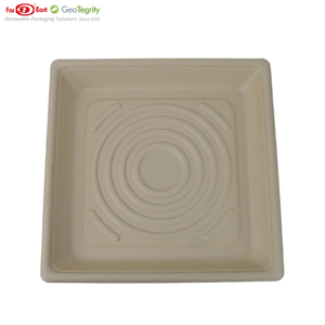 10.25"Square tray Bagasse Rectangular Plate, 50 Ct. PFAS-Free, Heavy Duty, Sugarcane Fiber, Eco Friendly Disposable, 100% Biodegradable, Microwave and Freezer Safe, Ideal for Lunch, Buffet
