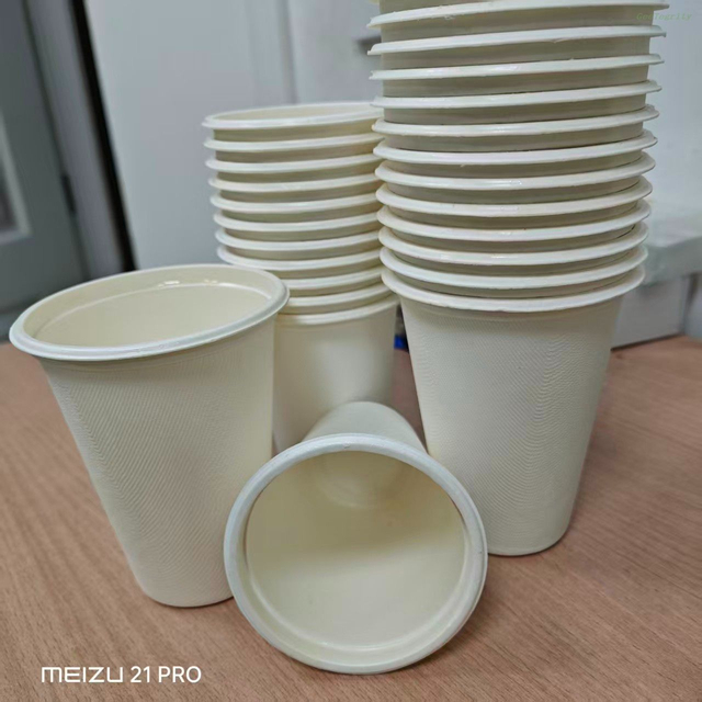 NEW 12oz Coated Sugarcane Pulp Coffee Cups GeoTegrity Far East