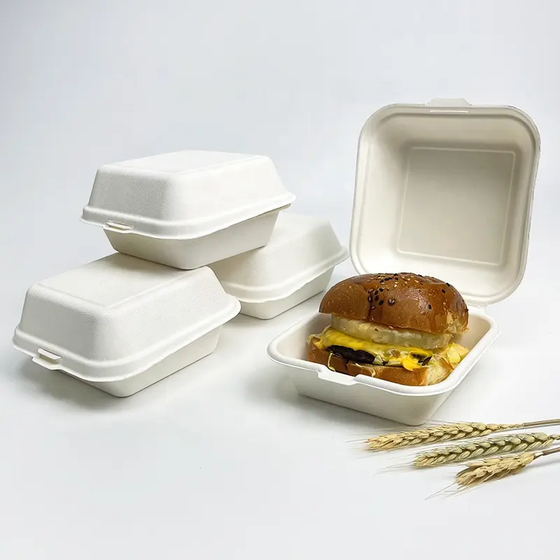 Compostable Food Takeaway 5" X 5" Hinged Container