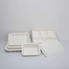 PFAS Free Disposable Biodegradable Containers Sugarcane Bagasse Pulp Molding Tray For Restaurant And Party