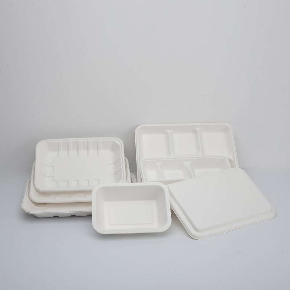 PFAS Free Disposable Biodegradable Containers Sugarcane Bagasse Pulp Molding Tray For Restaurant And Party