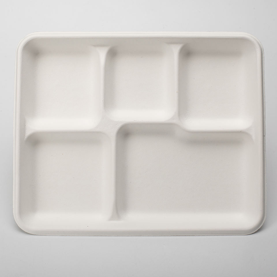 PFAS Free 5 Compartment Disposable Biodegradable Sugarcane Bagasse Paper Pulp Mould School Food Tray