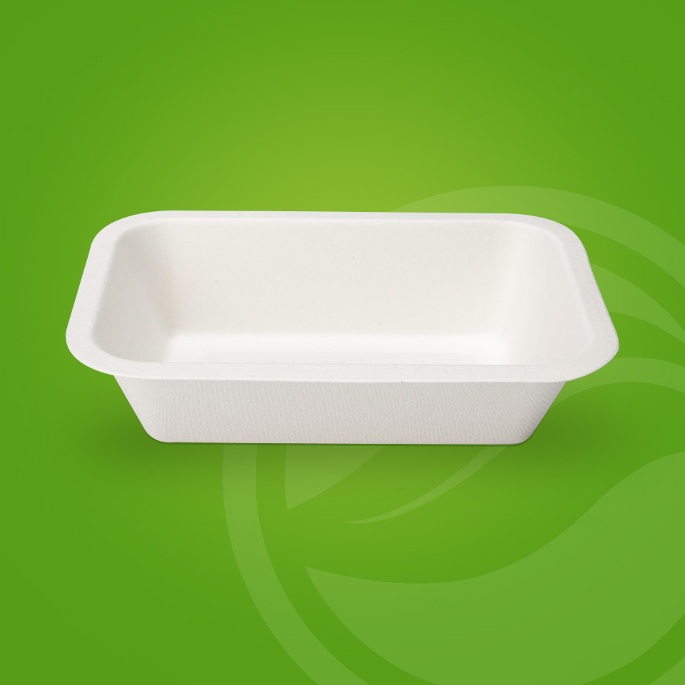 PFAS Free Eco-friendly Biodegradable Sugarcane Bagasse Pulp Mould Food Disposable Tray With Lids