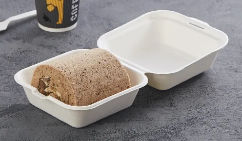 Branding Your Takeaway: Custom Printing on Biodegradable Containers