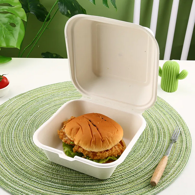 Biodegradable clamshell bagasse hamburger sugarcane 5