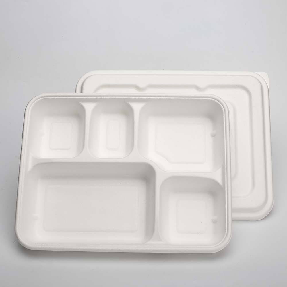 Biodegradable bagasse restaurant food takeaway 5 Compts Tray