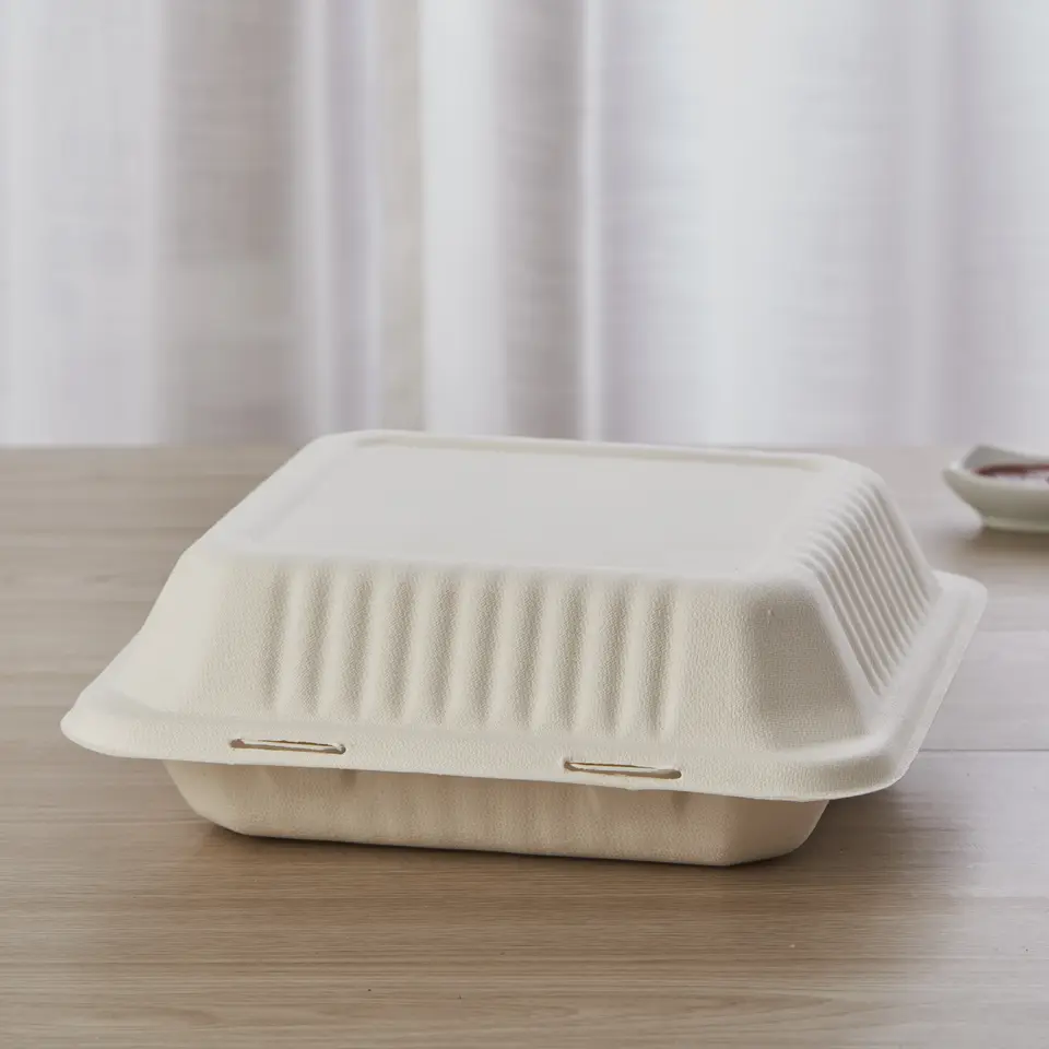 Biodegradable Take Out Disposable Clamshell Bagasse Food 9