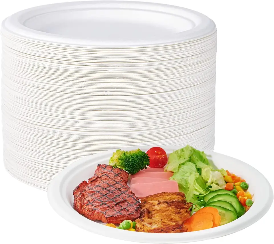 Natural white color ecopack rectangle sugarcane bagasse disposable food container bagasse sugarcane 9.5