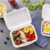 Compostable Take Out Biodegrabable Bagasse Lunch 6" x 4" Hinged Contianer