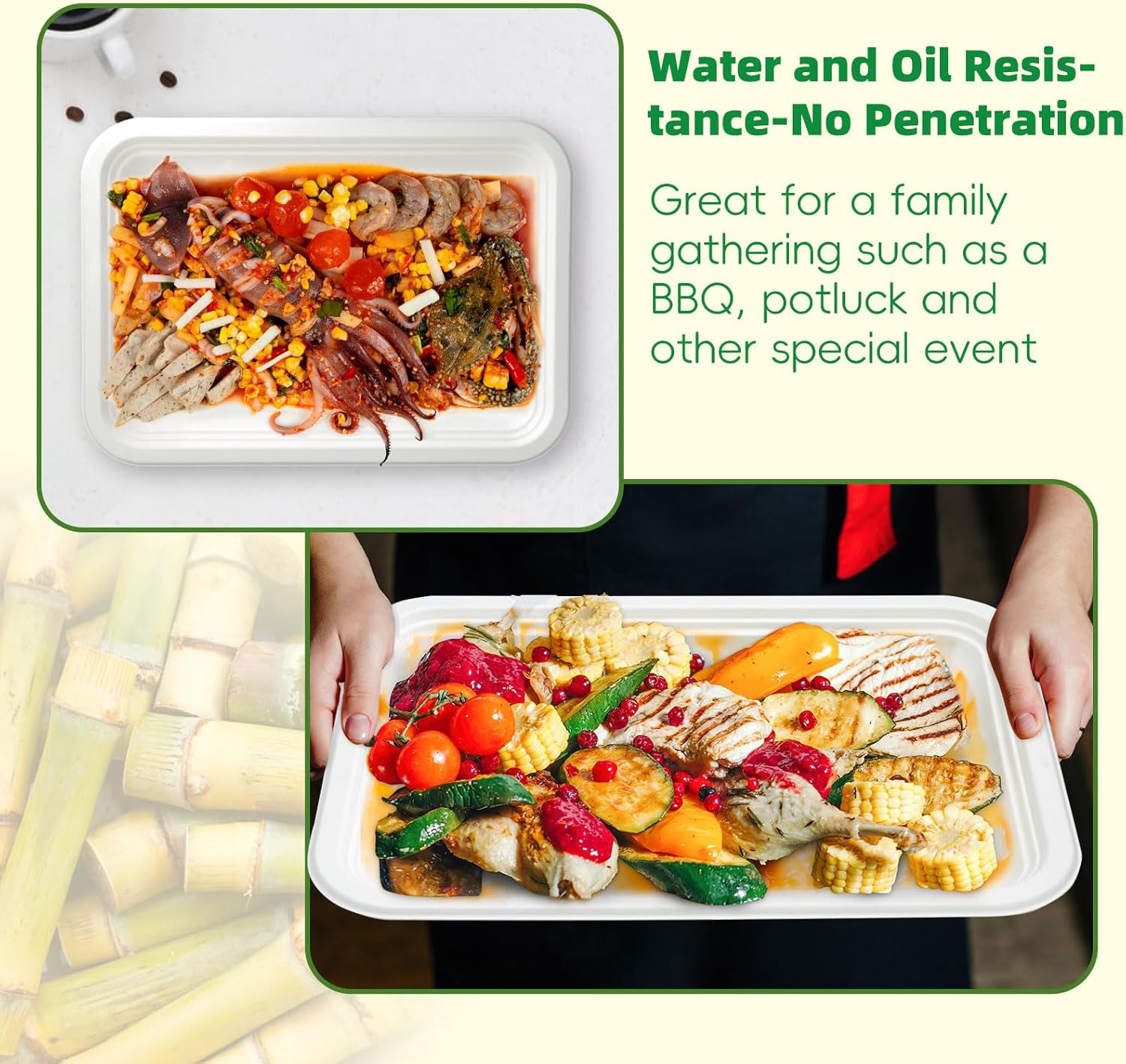 Disposable Paper Plates, 50 Pack Bagasse Food Trays, 14 Inch Compostable & Biodegradable Event Plates, Unbleached, BPA-Free, Microwave-Safe, Soak-Proof, Cut Resistant