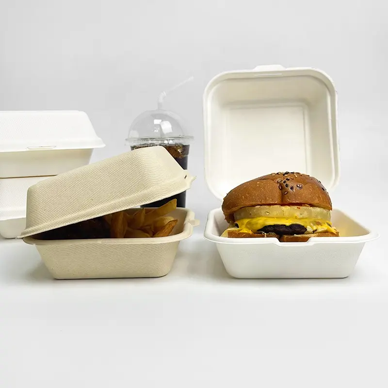 Compostable Food Takeaway 5" X 5" Hinged Container