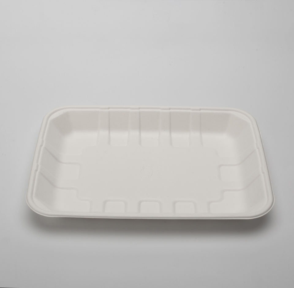 Disposable Composable Biodegradable Pulp Molding Food Sugarcane Bagasse Tray