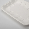 PFAS Free Disposable Biodegradable Rectangular Food Meat Sugarcane Bagasse Pulp Mould Tray