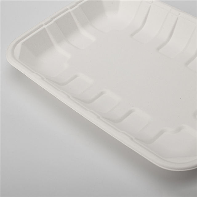 PFAS Free Disposable Biodegradable Rectangular Food Meat Sugarcane Bagasse Pulp Mould Tray