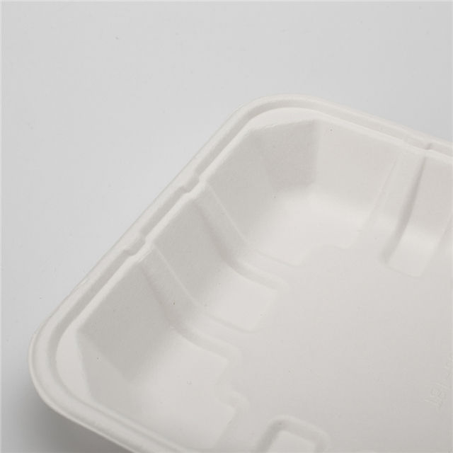 White Fresh Vegetables Food Biodegradable Compostable Sugarcane Bagasse Bagasse Vegetable Trays for Fruit,vegetable And Meat