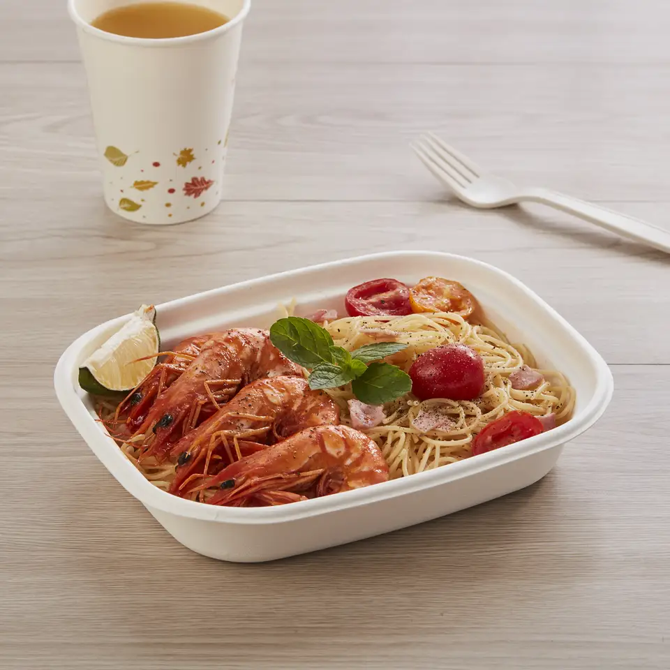 Disposable Sugarcane Bagasse Fiber Biodegradable Bowl Take Away Pulp Food Container Space Party Travel Kitchen Camping