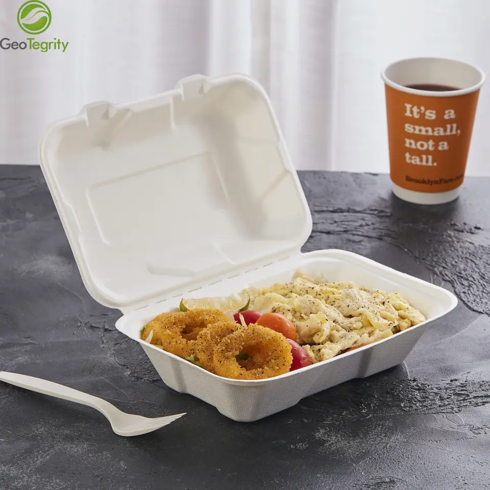 Biodegradable Bagasse To Go Food Packaging 9" x 6" Hinged Container