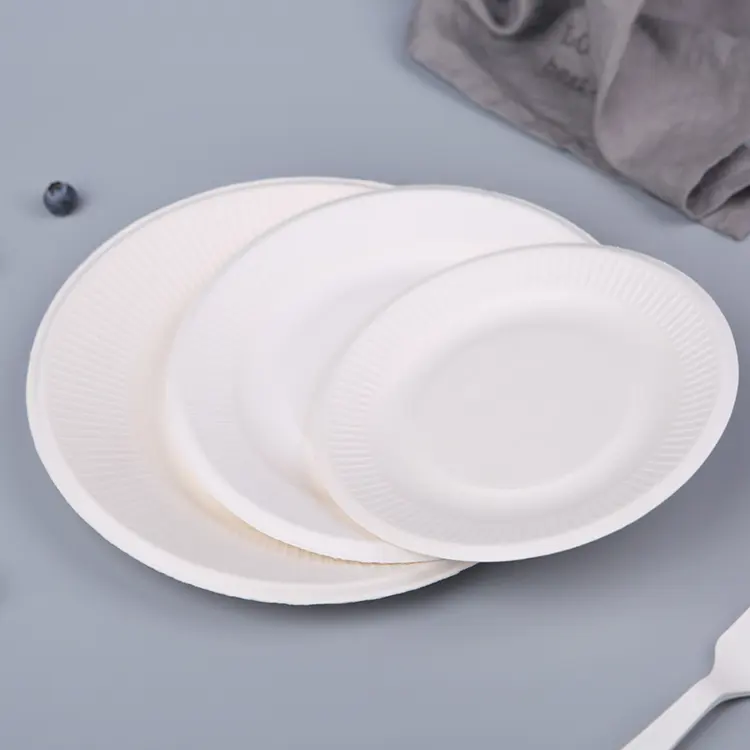 PFAS Free Compostable Disposable 6" Ribbed Round-Bagasse Pulp Paper Plate Biodegradable-Sugarcane Fiber Plate 