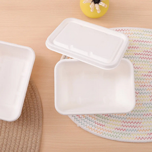 PFAS Free Eco-friendly Biodegradable Sugarcane Bagasse Pulp Mould Food Disposable Tray With Lids