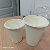 NEW 12oz Coated Sugarcane Pulp Coffee Cups GeoTegrity Far East