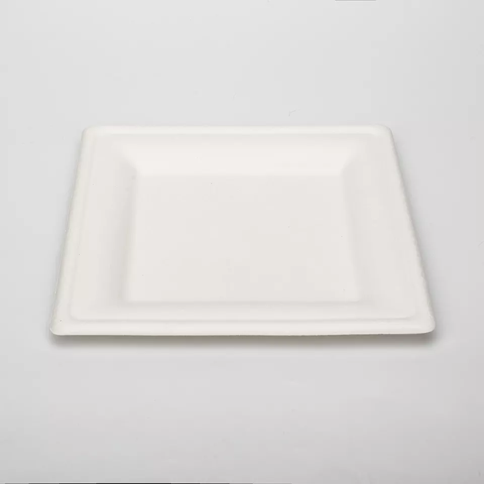 White Environmentally Friendly 8 Inch Disposable Bagasse Paper Plate Square Bagasse Plate for Party