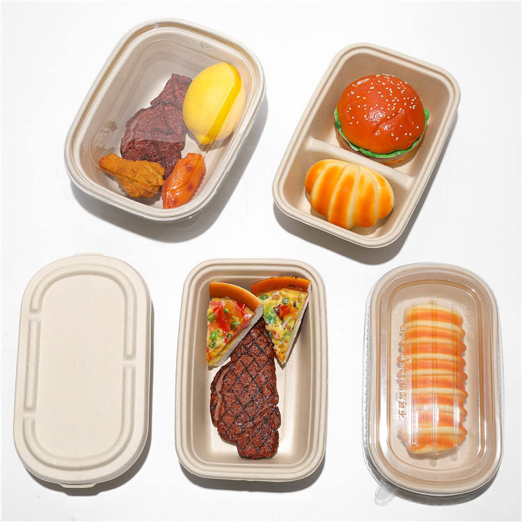 PFAS Free Biodegradable Compostable Sugarcane Sugar Cane Bagasse Pulp Molding Packaging Food Tray With Lid